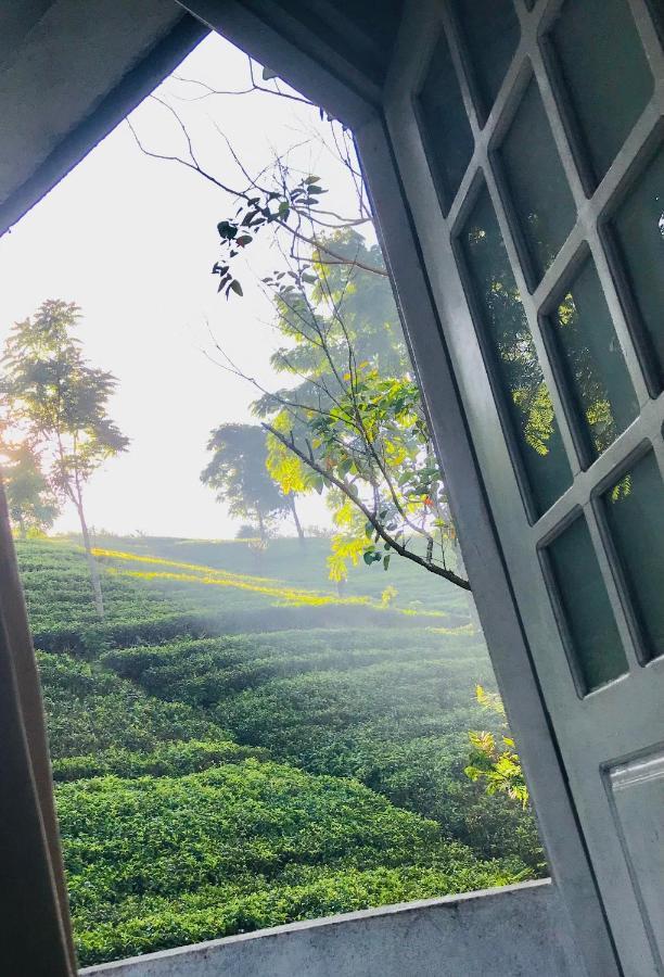 Niwasa House Hotel Hatton Bagian luar foto
